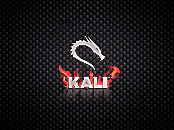 دانلود لینوکس کالی Kali Version 2.0 32/64 bit