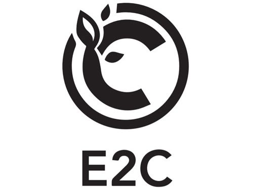 ارز دیجیتال E2C چیست؟ کلاهبرداری یک شرکت هرمی