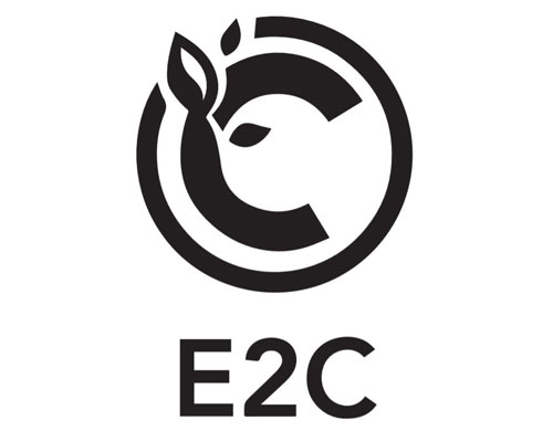 ارز دیجیتال E2C چیست؟ کلاهبرداری یک شرکت هرمی