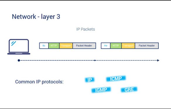 Network layer لایه شبکه