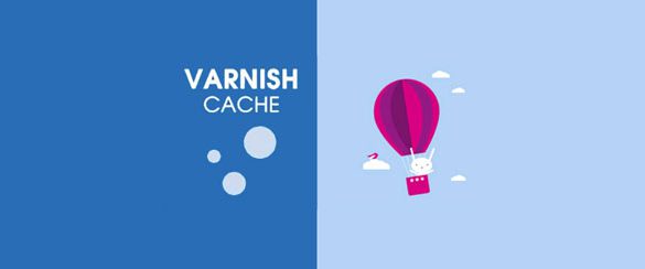 Varnish Cache چیست؟ چه کاربردی دارد؟