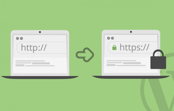 آموزش تبدیل آدرس سایت به HTTPS یا تغییر آدرس سایت از HTTP به HTTPS