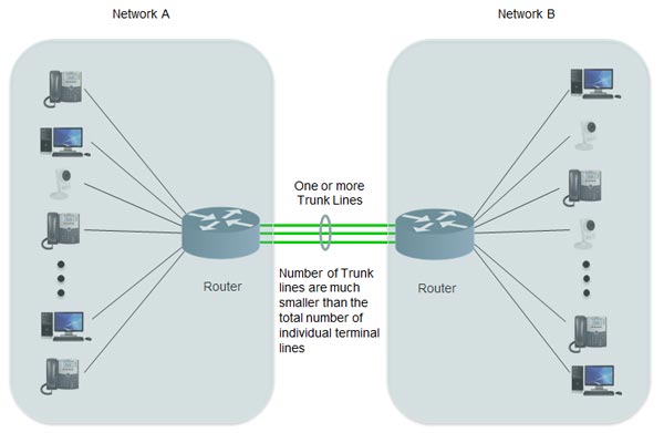 Trunk در شبکه چیست؟ آشنایی با مفهوم و کاربرد ترانک
