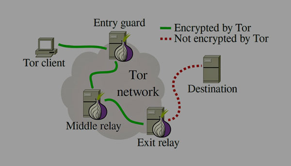 Tor چیست؟ چگونه کار می کند؟ آشنایی با پروژه Tor