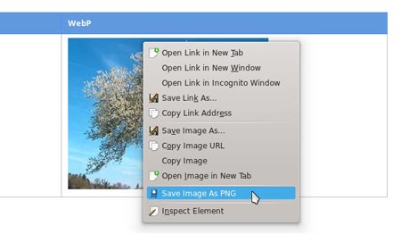 آموزش پخش و باز کردن فایل WebP در ویندوز