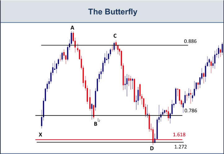 الگوی پروانه چیست؟ آشنایی با الگوی Butterfly در تحلیل تکنیکال