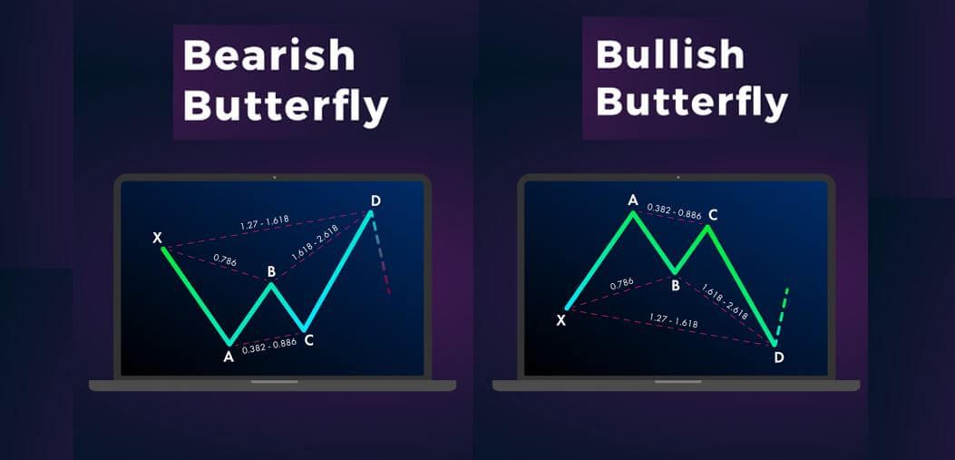 الگوی پروانه چیست؟ آشنایی با الگوی Butterfly در تحلیل تکنیکال