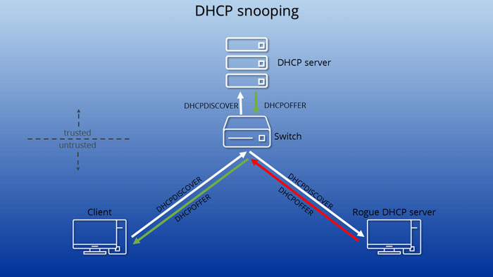 DHCP snooping چیست؟ آشنایی با کاربرد و مفهوم DHCP snooping