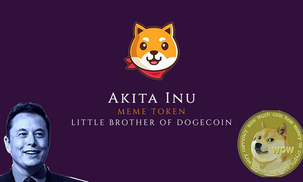 ارز دیجیتال آکیتا (AKITA INU) چیست؟ همه چیز درباره Akita Inu به زبان ساده