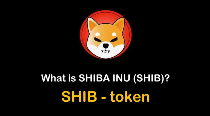 ارز دیجیتال شیبا چیست؟ درباره توکن SHIBA INU بیشتر بدانید!