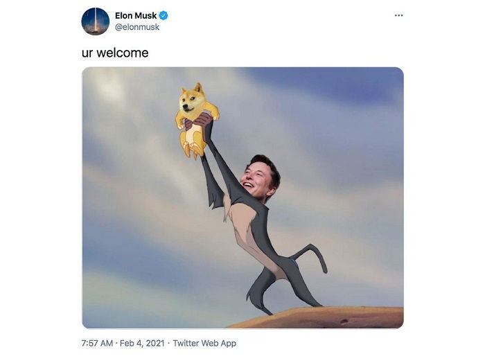 رابطه دوج کوین و ایلان ماسک و توییت های Elon Musk
