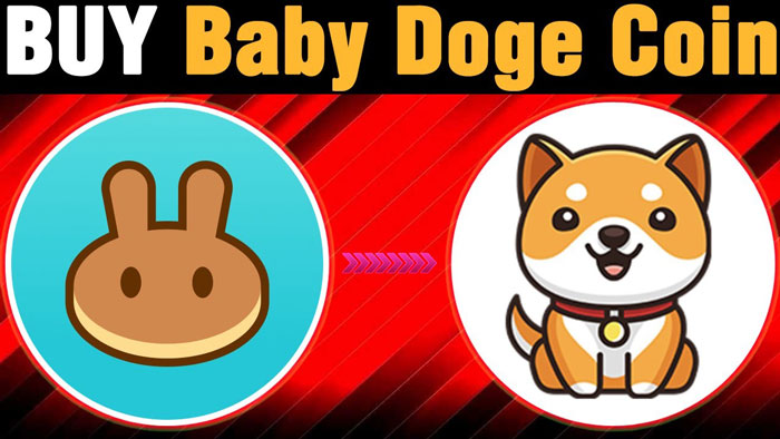 آموزش خرید و فروش بیبی دوج کوین (Baby Doge Coin) با نماد BabyDoge