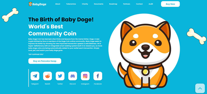 ارز دیجیتال Baby Doge Coin چیست؟ معرفی رمزارز بیبی دوج کوین به زبان ساده