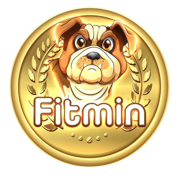 ارز دیجیتال Fitmin Finance چیست؟ معرفی رمزارز FTM (فیت مین فایننس) به زبان ساده