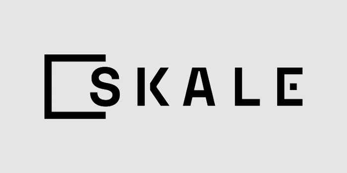 آشنایی با بهترین کیف پول های ارز دیجیتال اسکیل نتورک (SKALE Network)