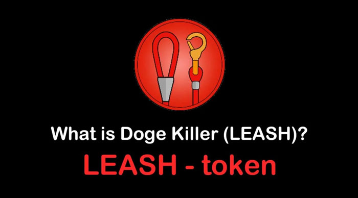ارز دیجیتال Doge Killer (LEASH) چیست؟ معرفی رمزارز دوج کیلر لیش به زبان ساده