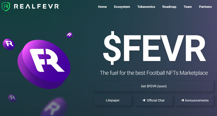آموزش خرید و فروش ارز دیجیتال RealFevr و معرفی بهترین کیف پول های رمزارز FEVR