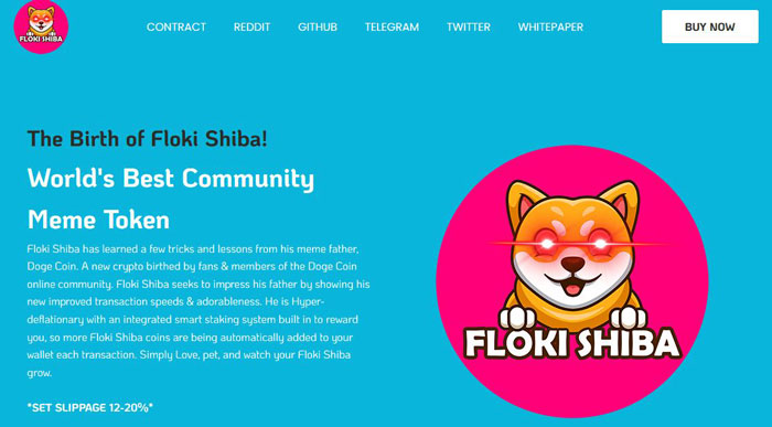 ارز دیجیتال Floki Shiba چیست؟ معرفی پروژه فلوکی شیبا و رمزارز FSHIB