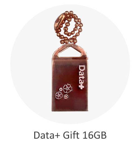 فلش 16 گیگ دیتا پلاس مدل Data+ Gift Rose Gold 16GB