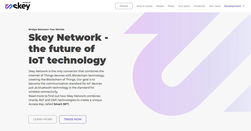ارز دیجیتال Skey Network چیست؟ پیش بینی آینده و قیمت SKEY