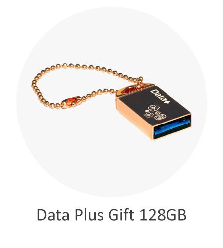 فلش مموری دیتا پلاس Data Plus Gift Rose Gold USB3.1 128GB
